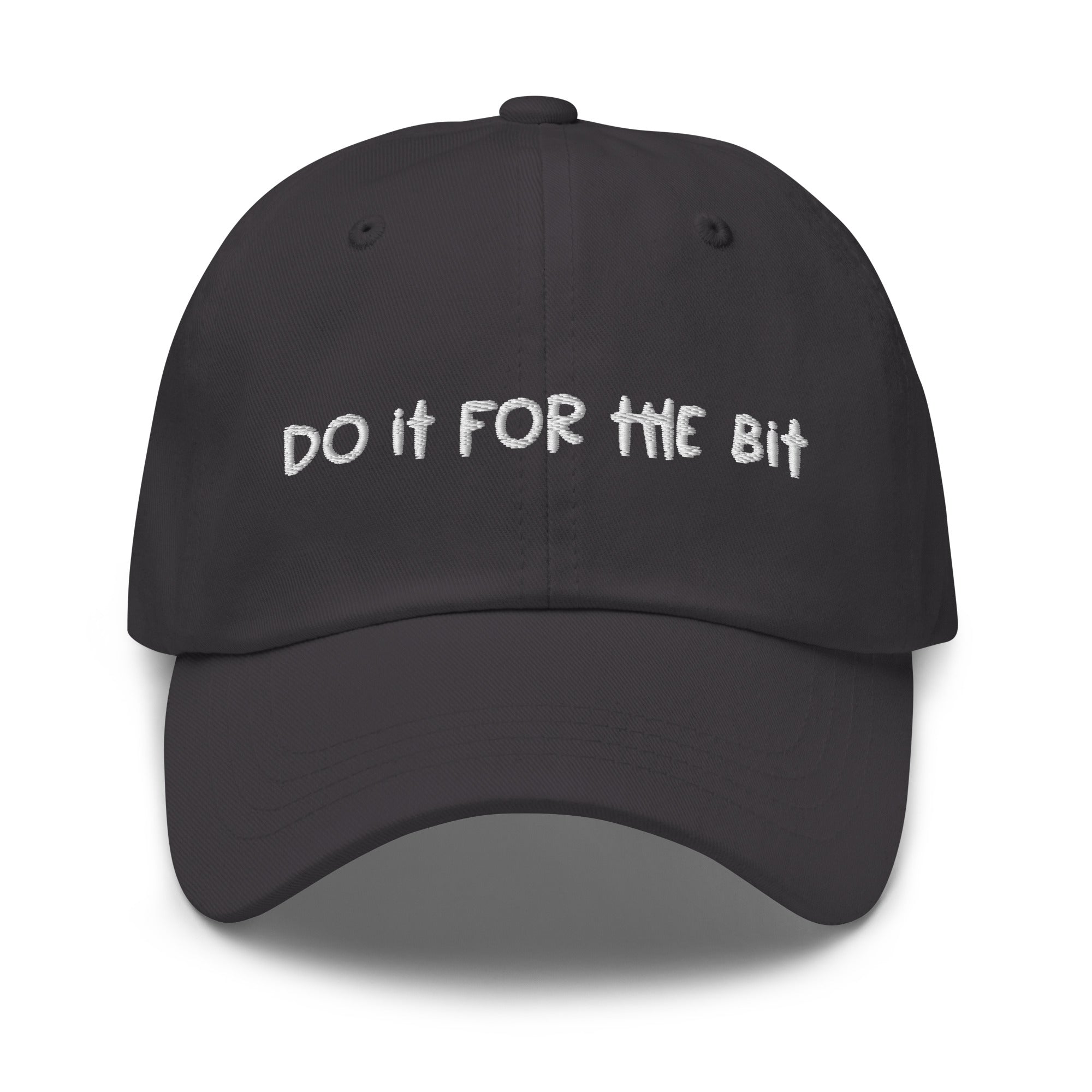 Do It For The Bit (Embroidered) hat