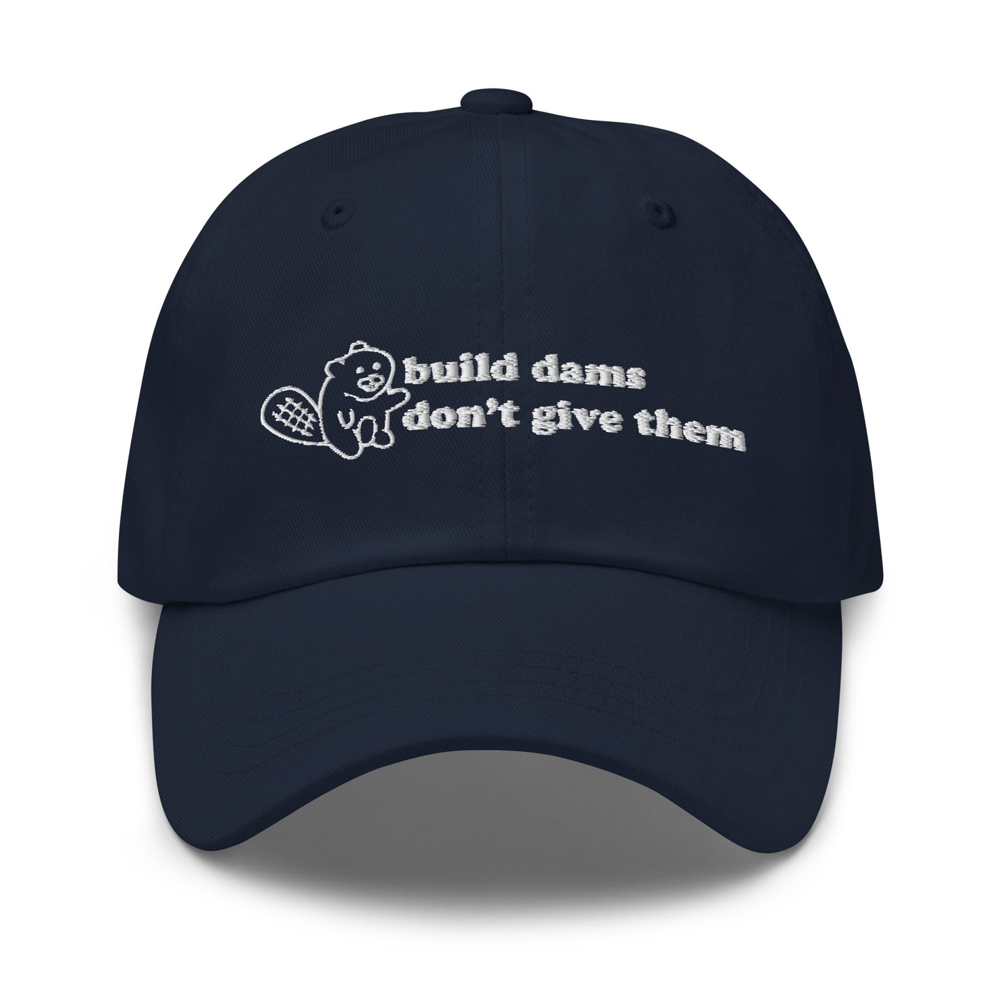 Build Dams hat