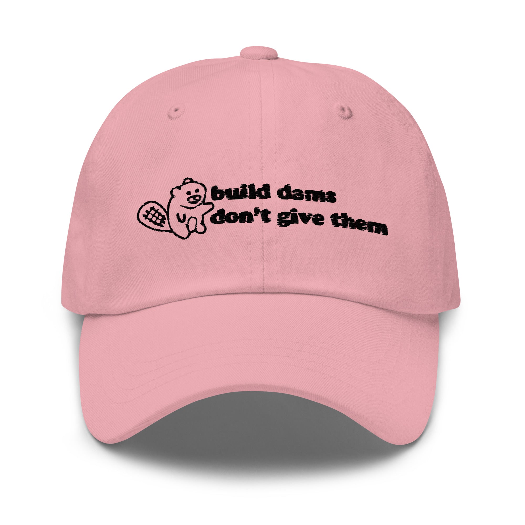 Build Dams hat