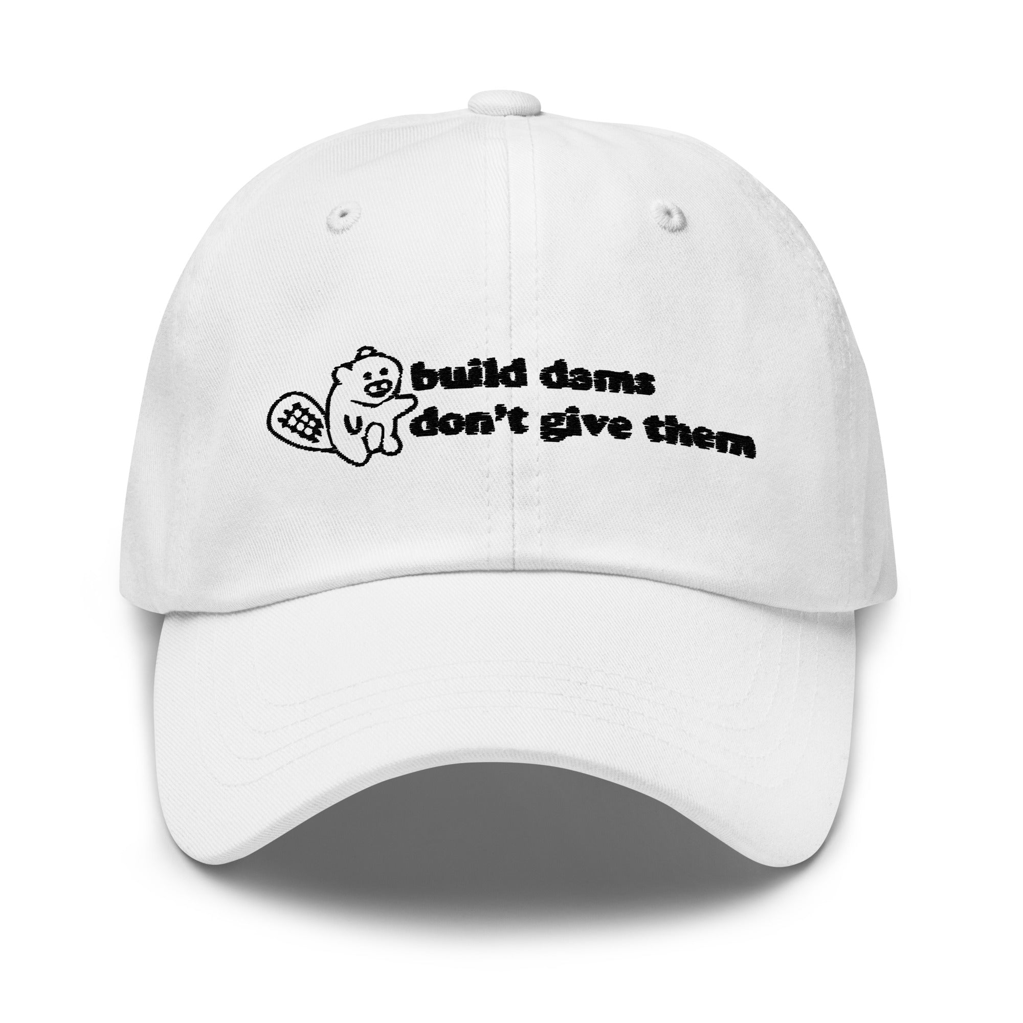 Build Dams hat