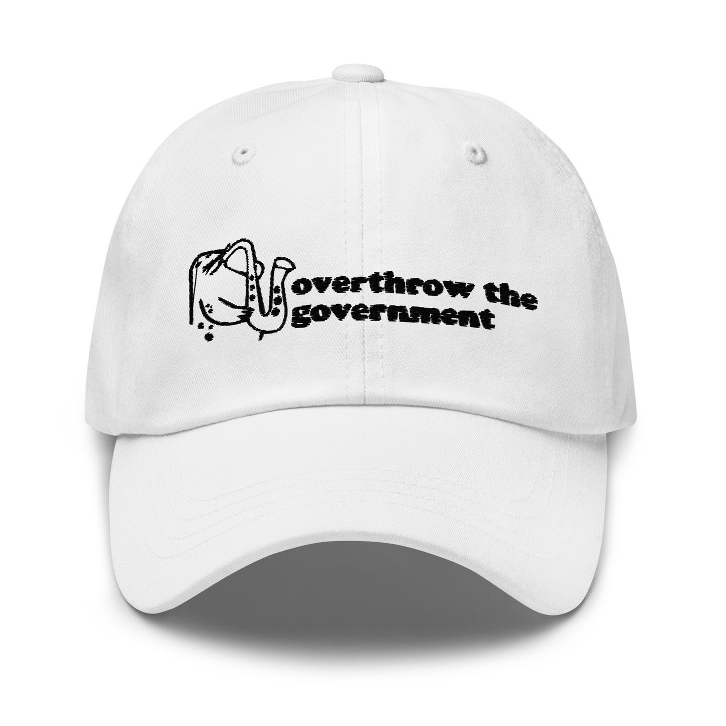 Overthrow the Government hat