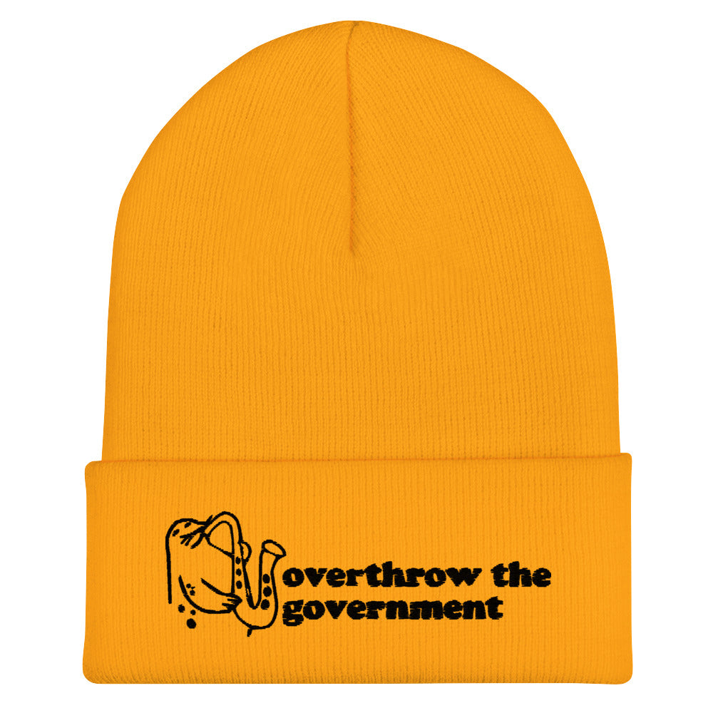 Overthrow the Government Beanie