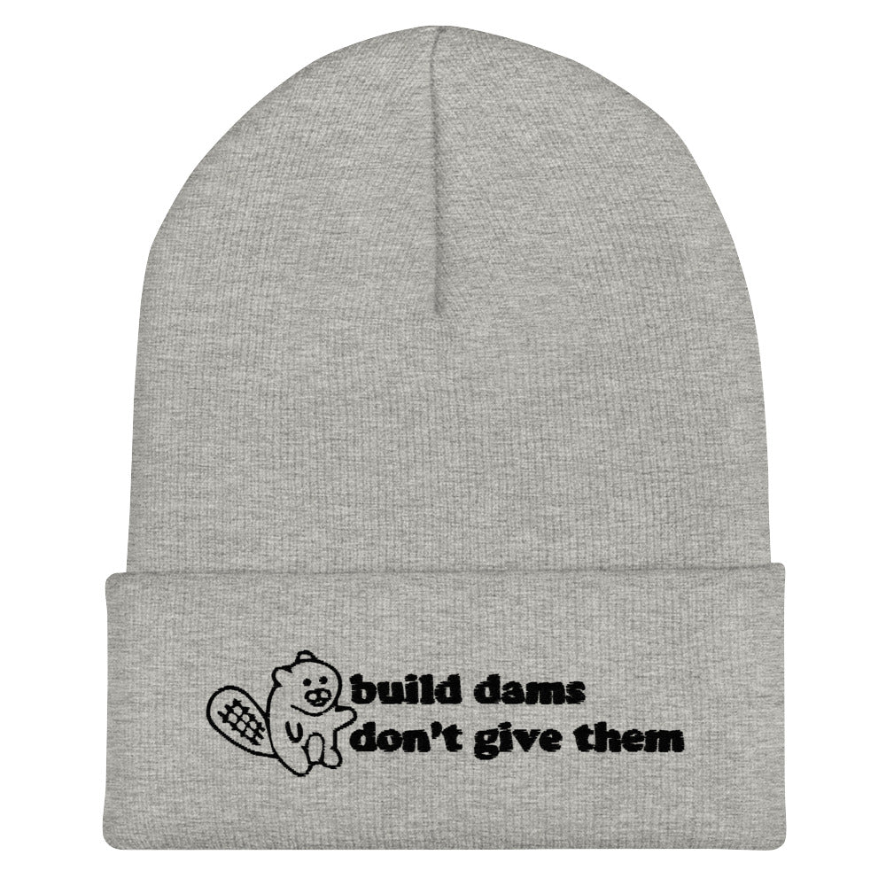 Build Dams Beanie