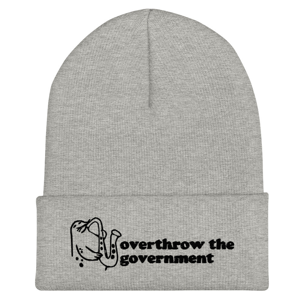 Overthrow the Government Beanie