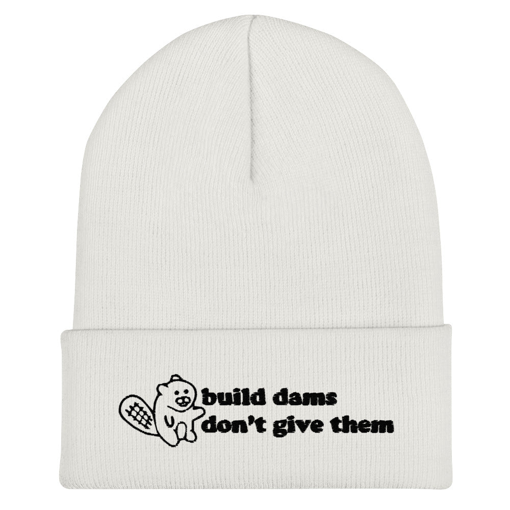 Build Dams Beanie