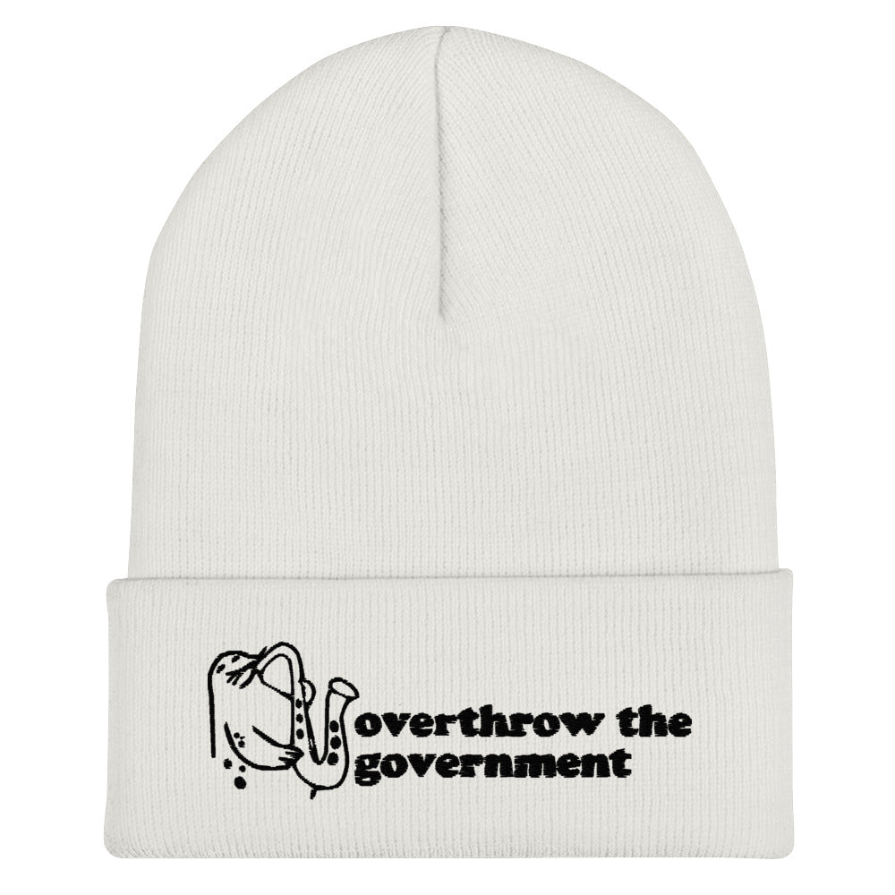 Overthrow the Government Beanie