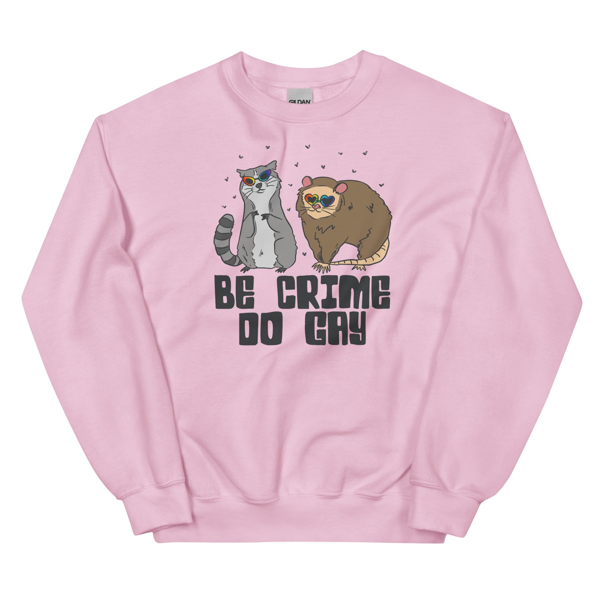 Be Crime Do Gay (Raccoon and Possum) Unisex Sweatshirt