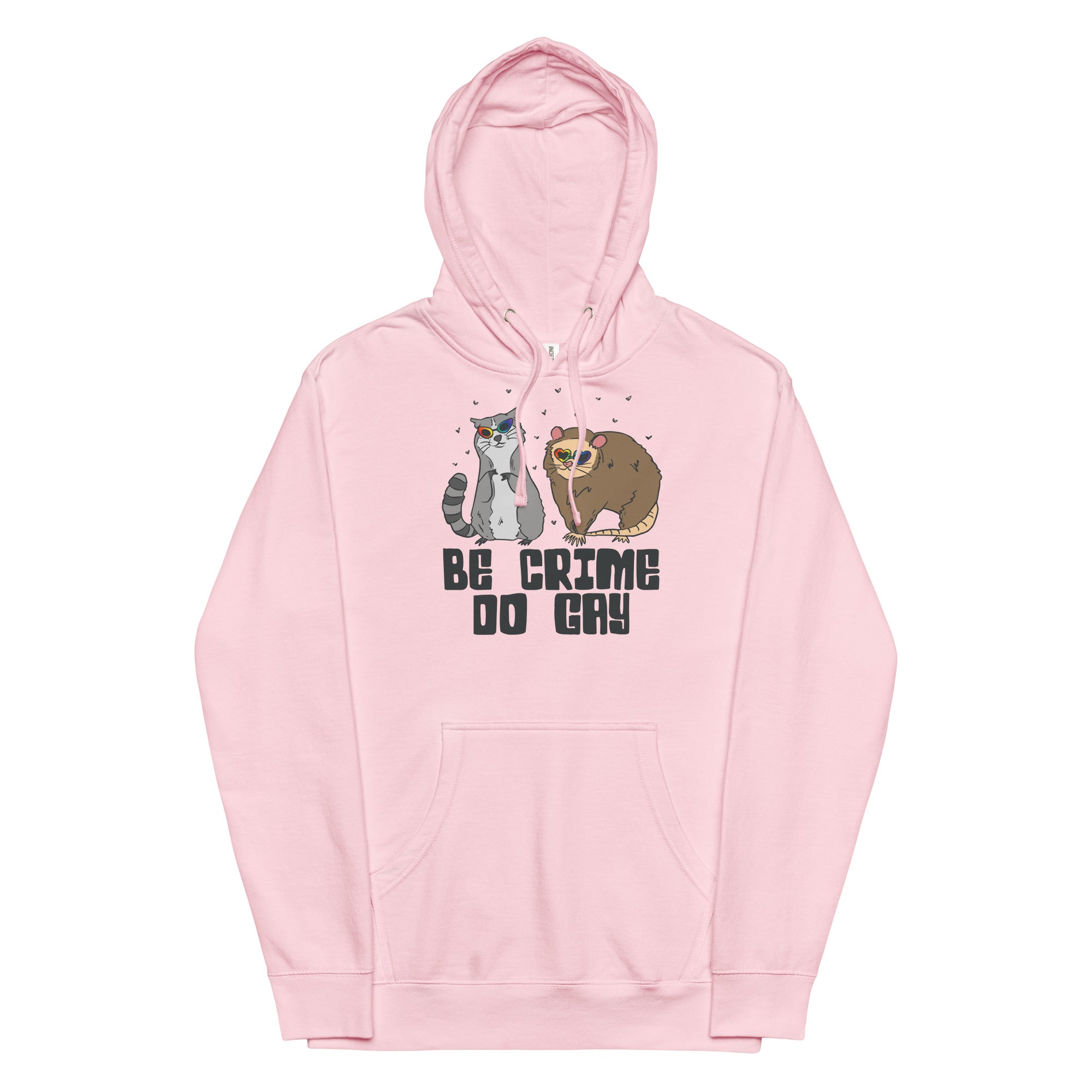 Be Crime Do Gay (Raccoon and Possum) Unisex hoodie