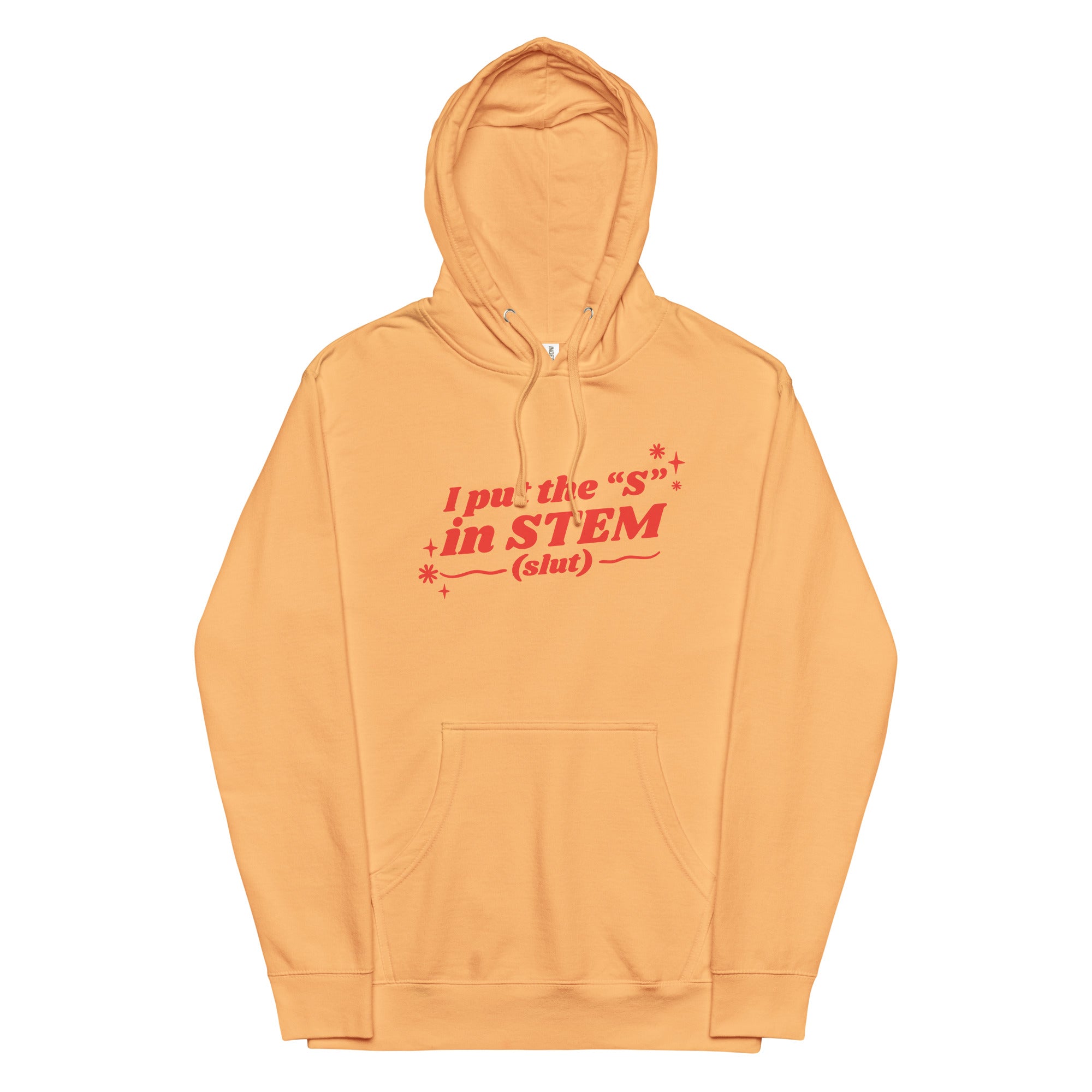 I Put the "S" in STEM Unisex hoodie