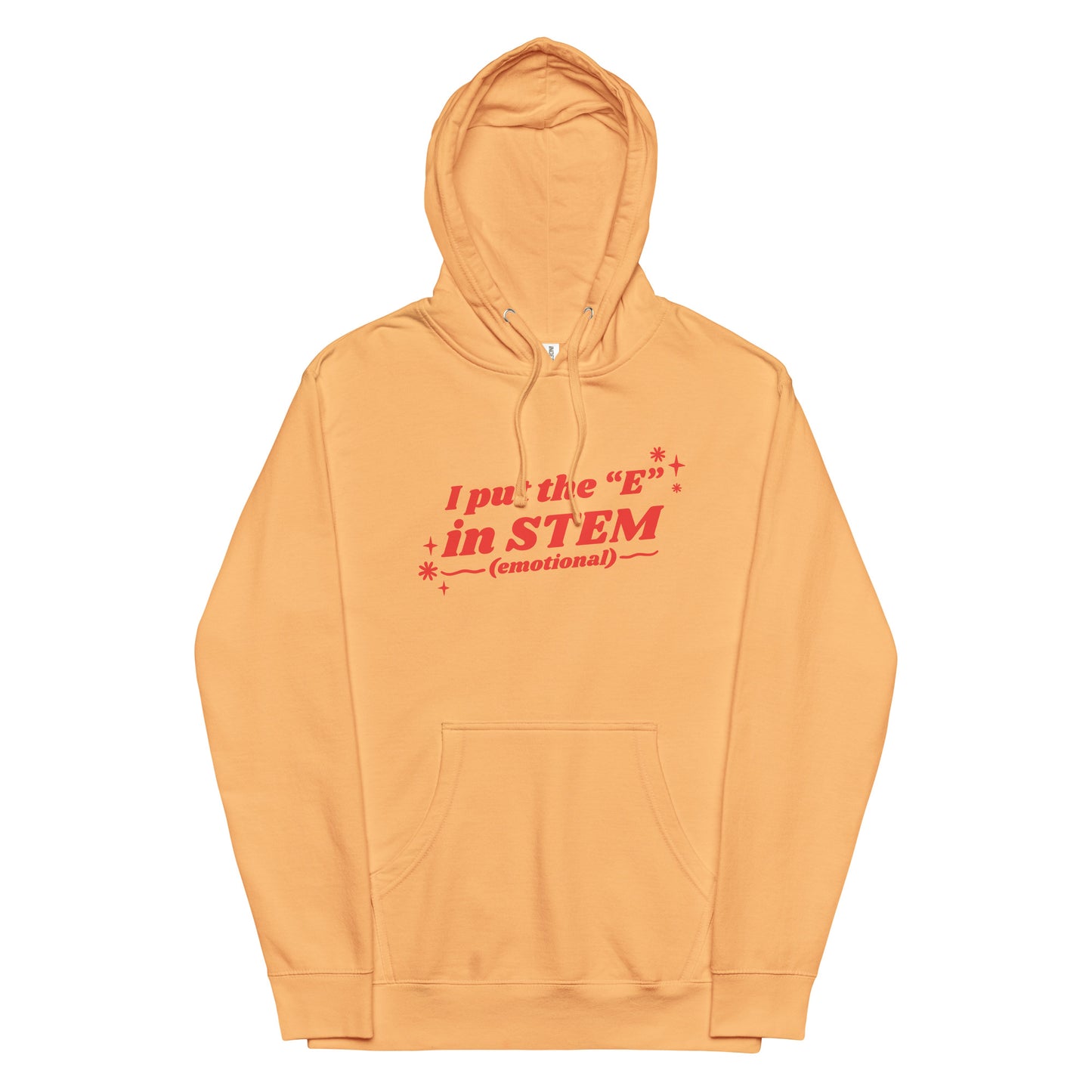 I Put the "E" in STEM Unisex hoodie